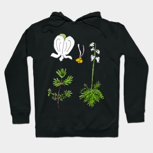 Squirrel Corn Wildflower Anatomy Hoodie